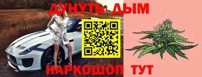 стафф Пенза