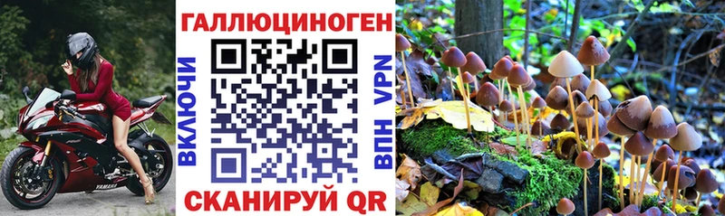 Галлюциногенные грибы GOLDEN TEACHER  даркнет сайт  Северодвинск 