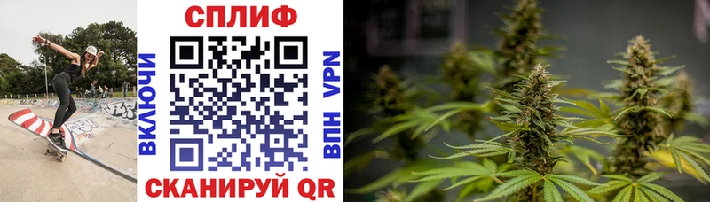 купить   Северодвинск  Конопля VHQ 